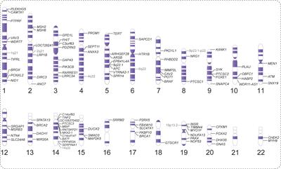 Chromosomal localization of mutated genes in non-syndromic familial thyroid cancer